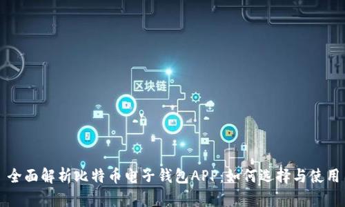 全面解析比特币电子钱包APP：如何选择与使用