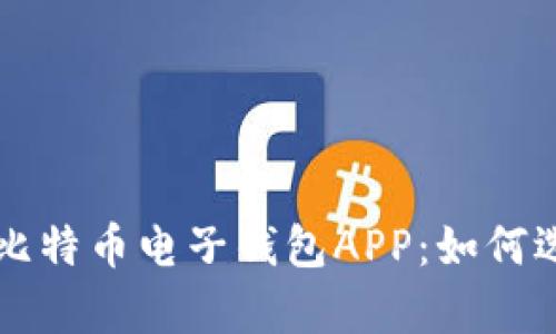 全面解析比特币电子钱包APP：如何选择与使用