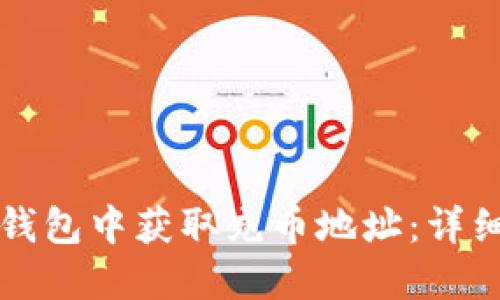 如何在TP钱包中获取充币地址：详细操作指南