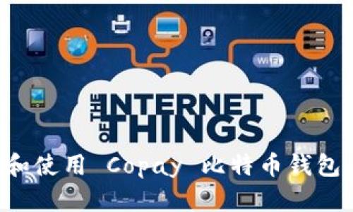 如何搭建和使用 Copay 比特币钱包：详细指南