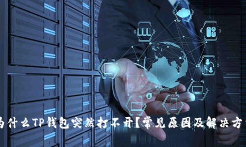 为什么TP钱包突然打不开？常见原因及解决方法