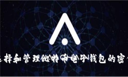 如何选择和管理比特币电子钱包的密保策略